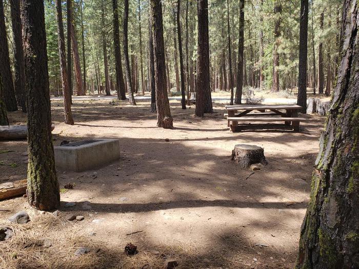 Site with a balance of shade and sun which includes fire ring, table nestled within a grove of trees.Boulder Creek SIte 62