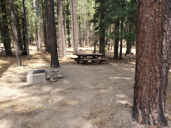 Shady site with a tble and fire ring. within a grove of sheltering trees.Boulder Creek Site 63