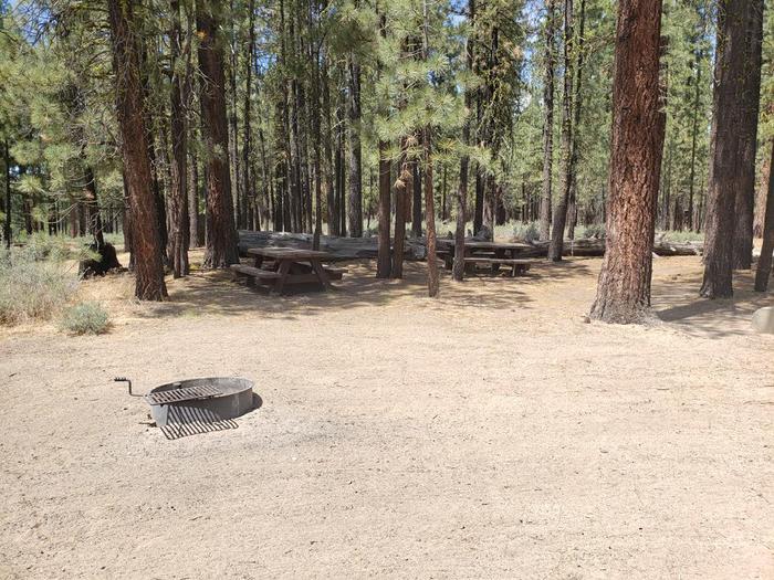 Very specious site with fire rign in the open and two tables in the shade.Boulder Creek Site 64