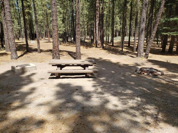 Smaller site with a table and fire ring surrounded by sheltering trees.Boulder Creek Site 65