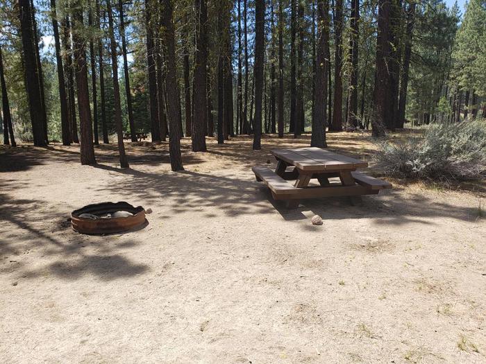 Site with shade and sun. fire ring and table with dense grove of trees in the background.Boulder Creek Site 66