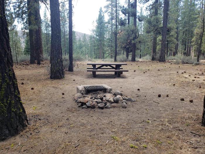 Scenic site with table, fire ring, and grove of trees and view of a ridgeline.Boulder Creek Site 68