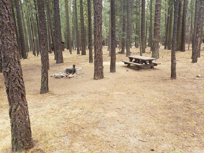 A secluded site within a grove of trees, table and fire ring.Boulder Creek Site 69