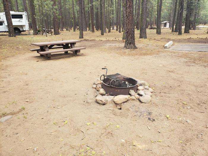 Spacious site with fire ring and tableLone Rock Site 2