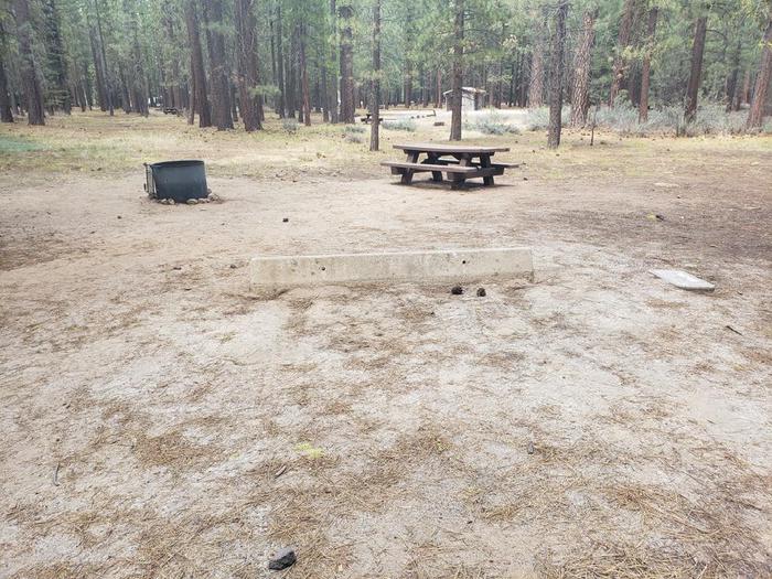 Spacious site with tall fire ring and table. Lone Rock SIte 7