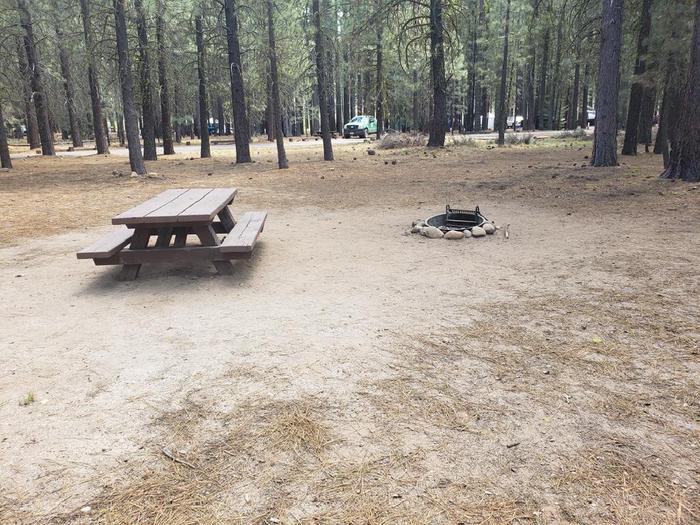 Spacious site with picnic table and fire ring.Lone Rock Site 13