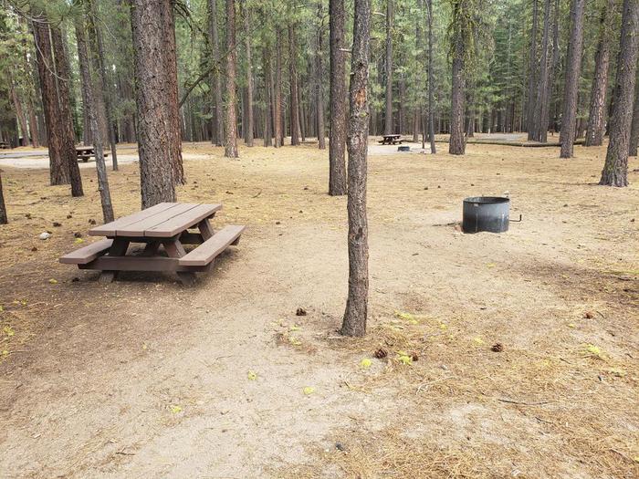Spacious site with table and fire ring.Lone Rock Site 16