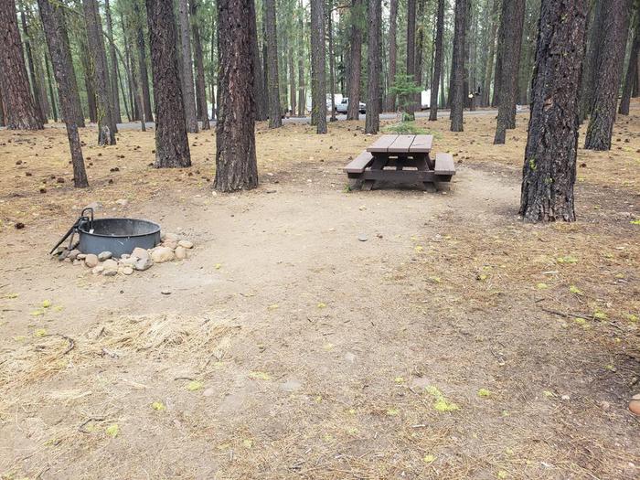 Secluded site with table and fire ring.Lone Rock Site 18