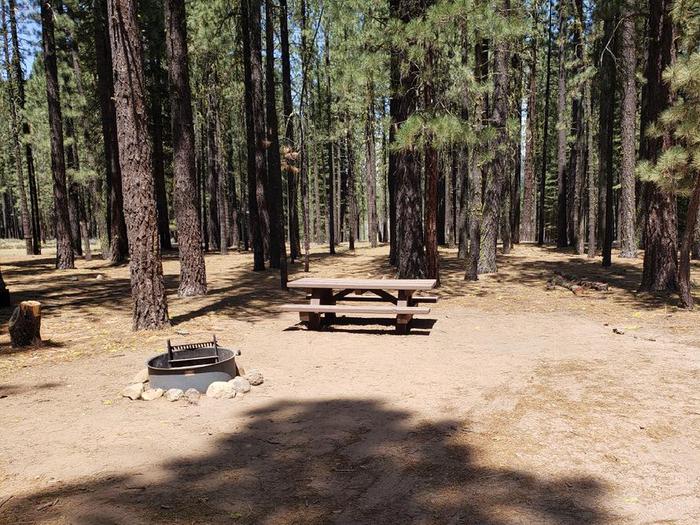 Site with shade and sun, table and fire ring.Lone Rock Site 20