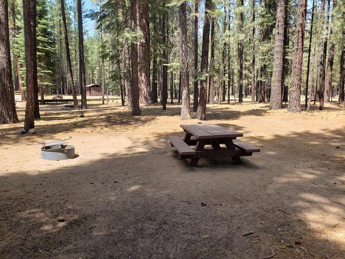 Spacious site featuring a picnic table and fire ring.Lone Rock Site 22