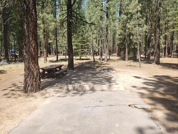 Sunny camp site featuring a picnic table and fire ring.Lone Rock Site 30