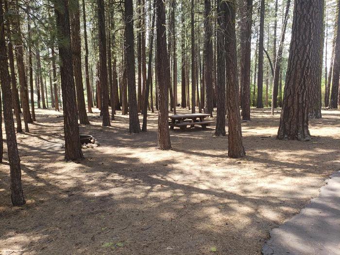 Well secluded site in a grove of trees featuring a picnic table and fire ring.Lone Rock Site 31