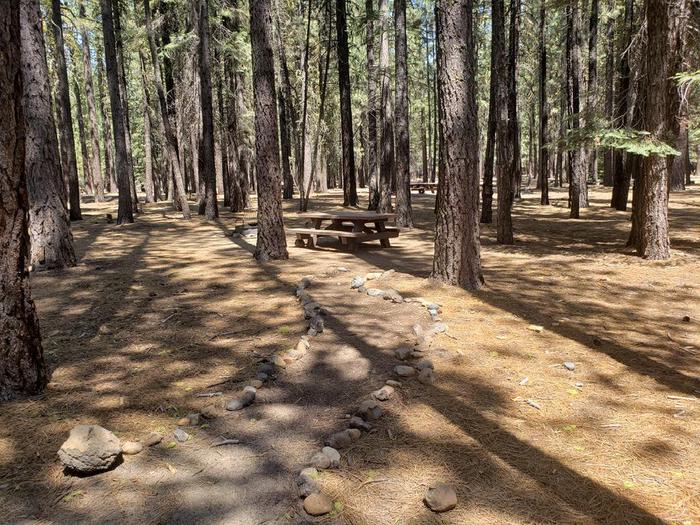 Well sheltered site in a picket of trees featuring a picnic table and fire ring.Lone Rock Site 34
