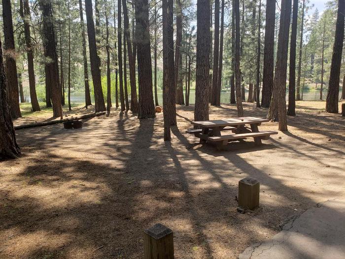 Pleasant site with sun and shade featuring a picnic table and fire ring.Lone Rock Site 35