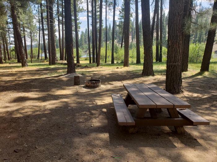 Pleasant site with shade and trees featuring a picnic table and fire ring.Lone Rock Site 37