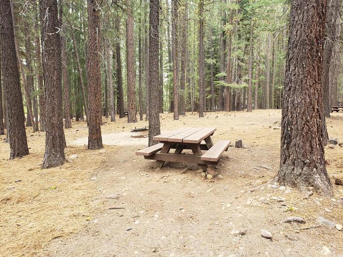 Spacious site surrounded by trees featuring a picnic table and fire ring.Lone Rock Site 41