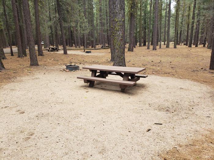 Spacious site with few trees nearby featuring a picnic table and fire ring.Lone Rock Site 42