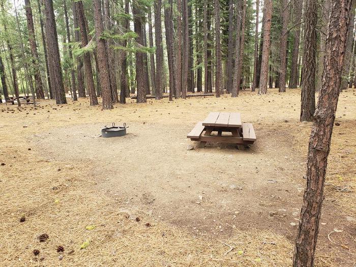Spacious site surrounded by growth of trees featuring picnic table and fire ring.Lone Rock Site 43