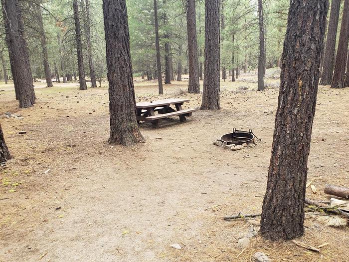 Secluded site between some trees featuring a picnic table and fire ring.Lone Rock Site 47