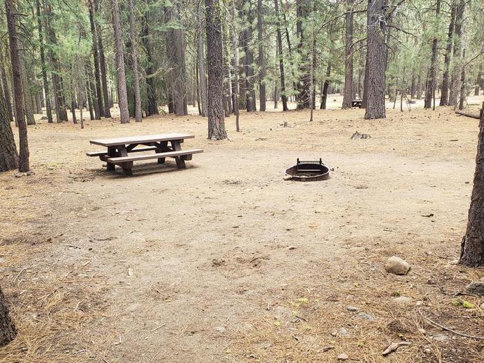 Spacious site relatively clear of trees featuring a picnic table and fire ring.Lone Rock Site 49