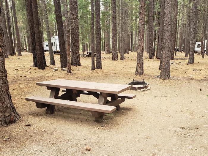 Secluded site within a grove of trees featuring a picnic table and fire ring.Lone Rock Site 50