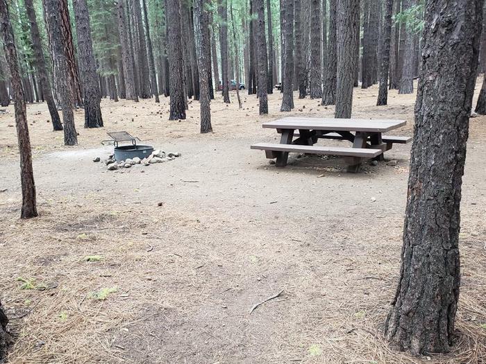 Secluded site with picnic table and fire ring. Lone Rock Site 53