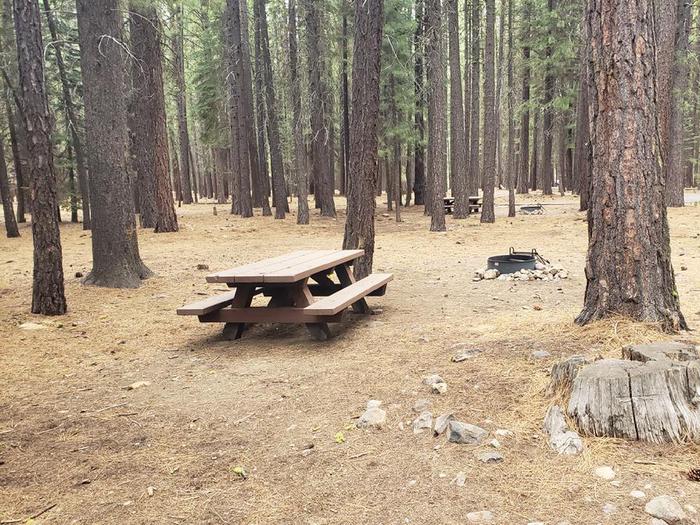 Secluded site with a picnic table and fire ring.Lone Rock Site 55