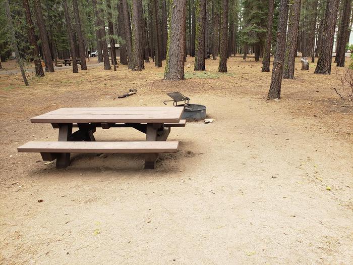 Secluded site within a grove of trees featuring a picnic table and fire ring.Lone Rock Site 57