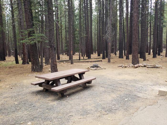 Secluded site within a grove of trees featuring a picnic table and fire ring.Lone Rock Site 58