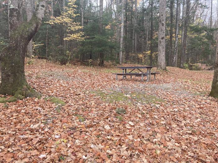 A photo of Site A60 of Loop A-Loop at COSBY CAMPGROUND with Picnic Table, Fire PitA60