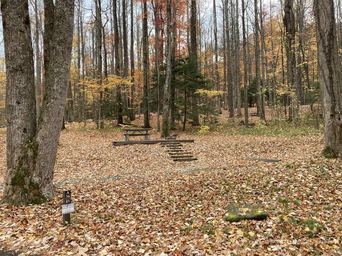 A photo of Site A36 of Loop A-Loop at COSBY CAMPGROUND with Picnic Table, Fire Pit, Tent PadA36