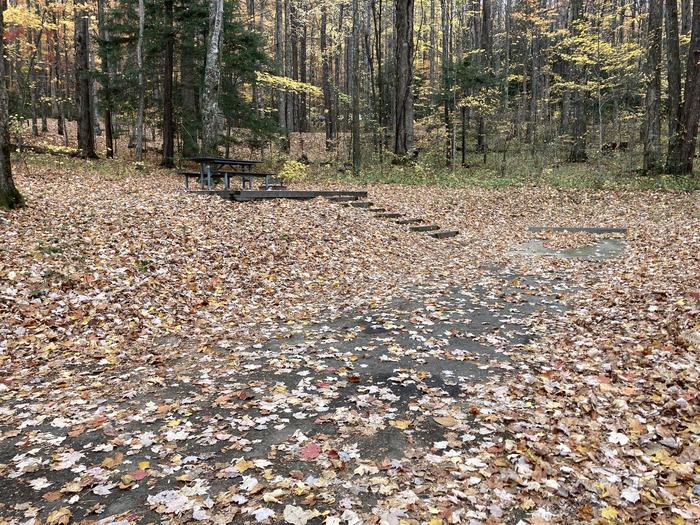 A photo of Site A36 of Loop A-Loop at COSBY CAMPGROUND with THE Picnic TablePicnic Table