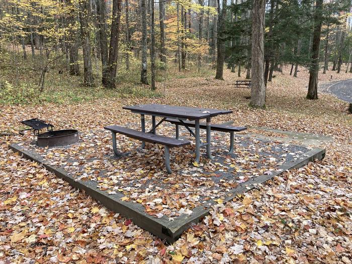 A photo of Site A36 of Loop A-Loop at COSBY CAMPGROUND with Picnic Table, Fire PitA photo of Site A36 