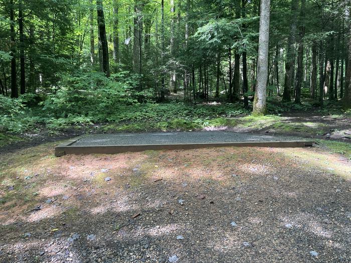 A photo of Site B20 of Loop B-Loop at COSBY CAMPGROUND with Tent PadTent Pad