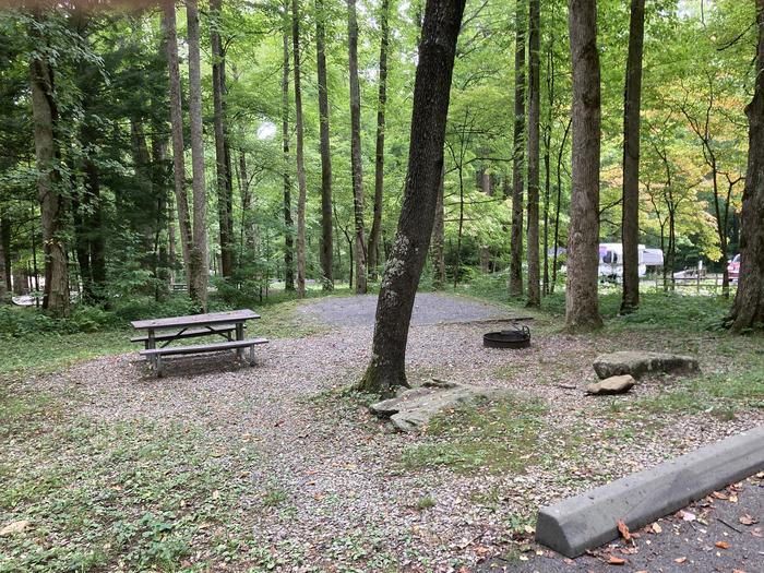 A photo of Site A41 of Loop A-Loop at COSBY CAMPGROUND with Picnic TableStreet view A41