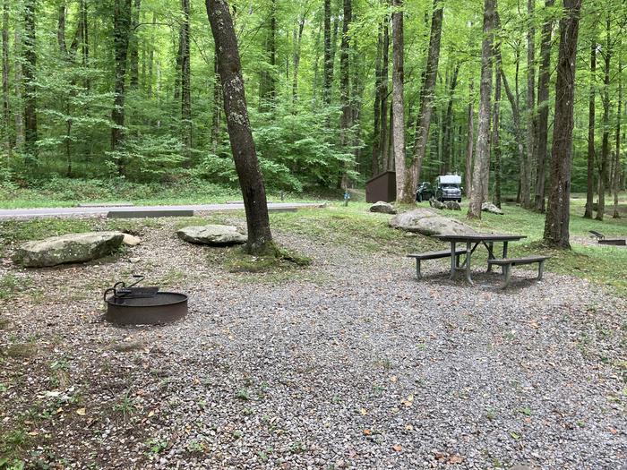 A photo of Site A41 of Loop A-Loop at COSBY CAMPGROUND with THE Picnic Table, Fire PitPicnic area
