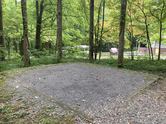 A photo of Site A41 of Loop A-Loop at COSBY CAMPGROUND with Tent PadTent Pad A41