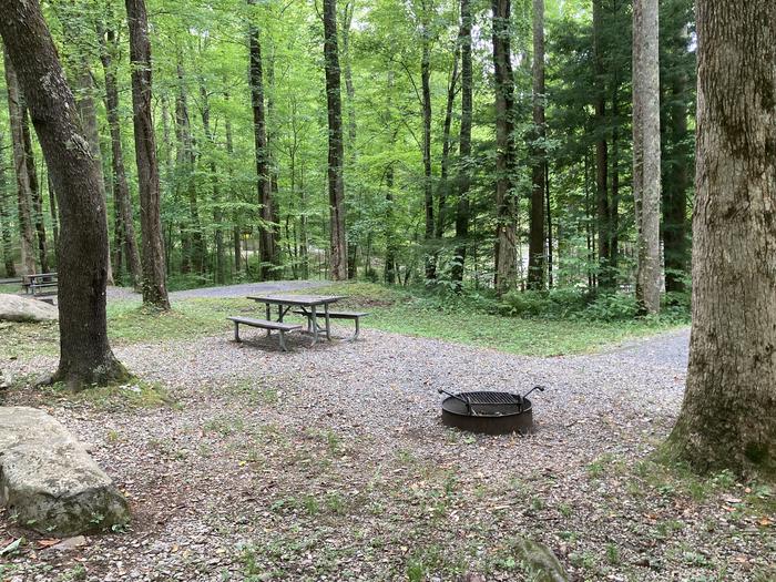  Site A41 of Loop A-Loop at COSBY CAMPGROUND with Picnic Table, Fire PitSide view 