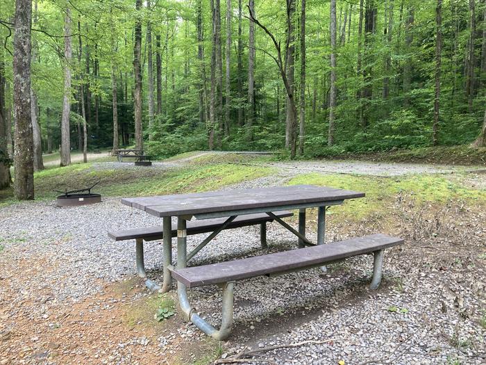A photo of Site A54 of Loop A-Loop at COSBY CAMPGROUND with Picnic Table, Fire Pit, Tent PadSide view A54