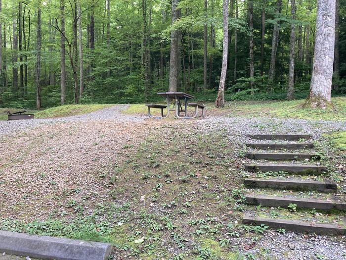 A photo of Site A54 of Loop A-Loop at COSBY CAMPGROUND with Picnic Table, Fire Pit Stairs Stairs that lead up between sites A54 and A56