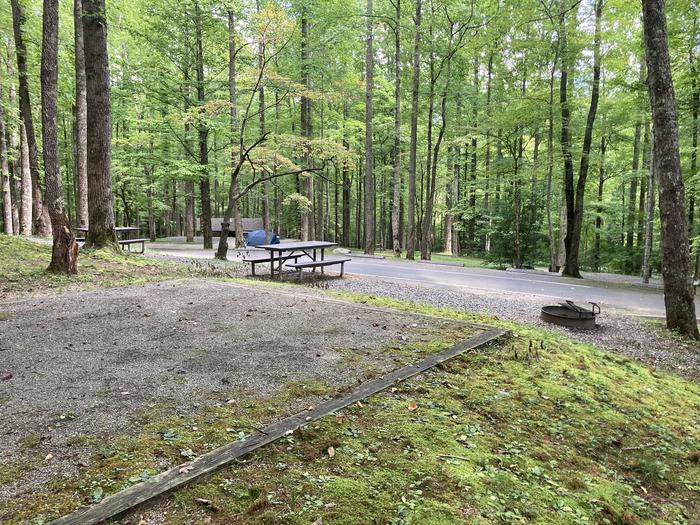 A photo of Site A54 of Loop A-Loop at COSBY CAMPGROUND with Picnic Table, Fire Pit, behind Tent Pad Behind tent pad A54