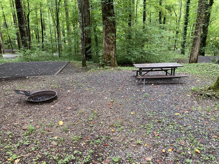 A photo of Site B03 of Loop B-Loop at COSBY CAMPGROUND with Picnic Table, Fire PitPicnic area