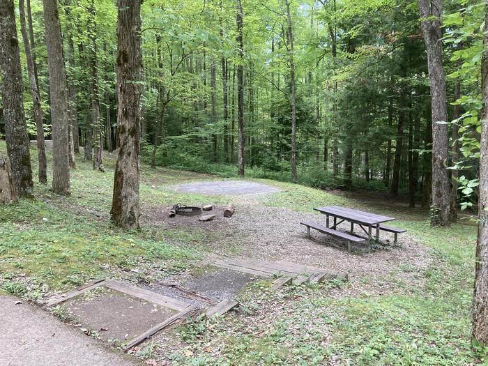 A photo of Site A31 of Loop A-Loop at COSBY CAMPGROUND with Picnic Table, Fire Pit, Tent Pad street viewStreet view of A32
