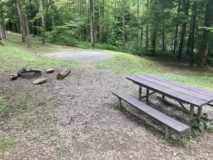 A photo of Site A31 of Loop A-Loop at COSBY CAMPGROUND with Picnic Table, Fire PitPicnic area 