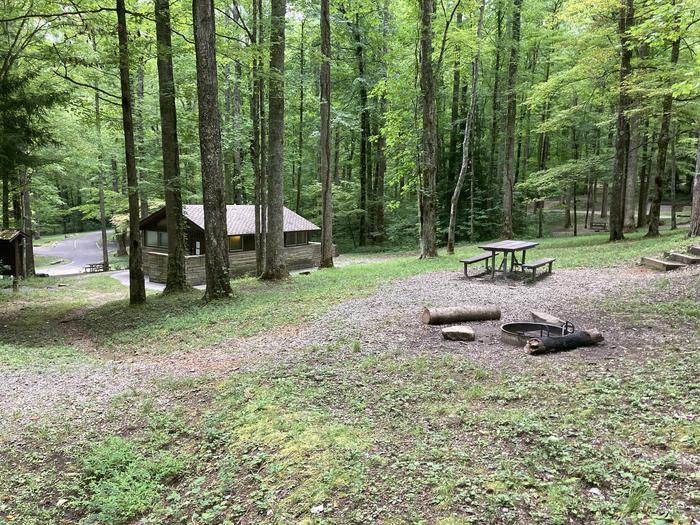 A photo of Site A31 of Loop A-Loop at COSBY CAMPGROUND with Picnic Table,Close to the bathroom 