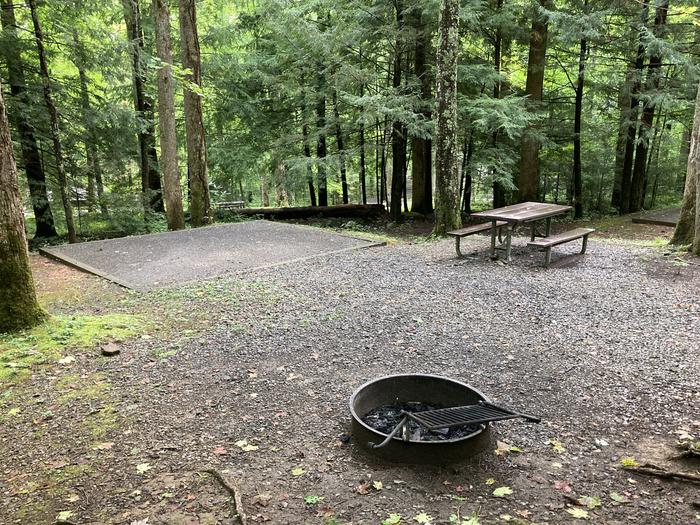 A photo of Site B15 of Loop B-Loop at COSBY CAMPGROUND with Picnic Table, Fire Pit, Tent PadPicnic Area