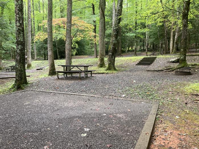 A photo of Site B15 of Loop B-Loop at COSBY CAMPGROUND with Picnic Table, Tent PadPicnic Table, Tent Pad