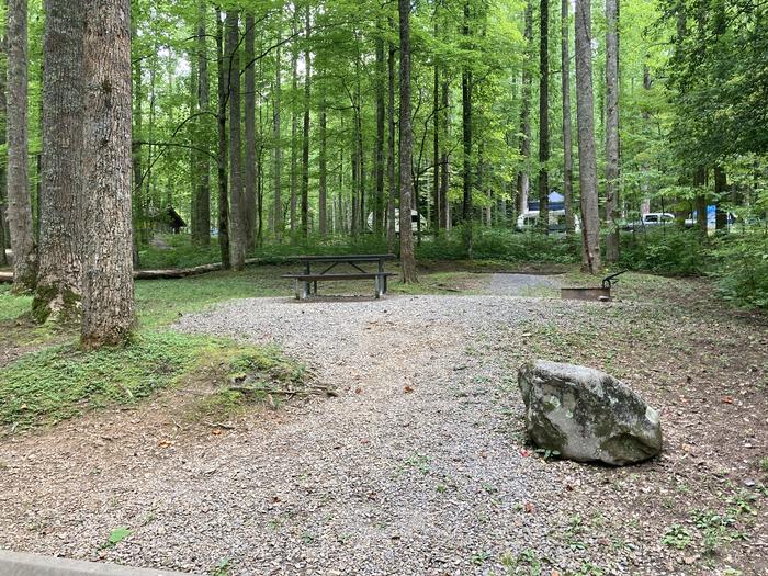 A photo of Site A18 of Loop A-Loop at COSBY CAMPGROUND with Picnic Table, Fire Pit, Tent PadStreet view