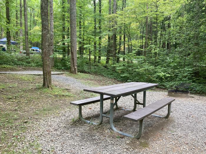 A photo of Site A18 of Loop A-Loop at COSBY CAMPGROUND picnic areaPicnic area