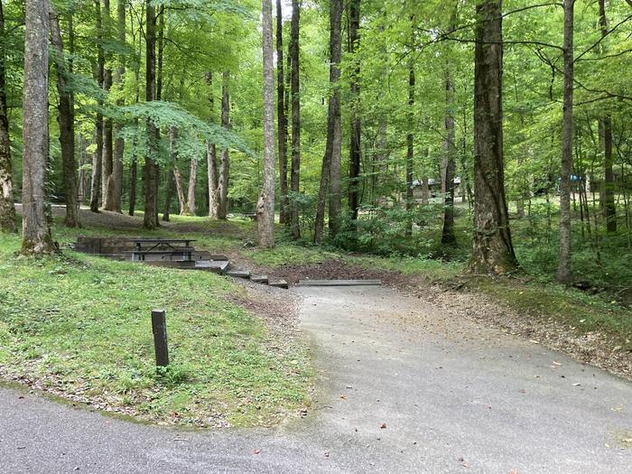 A photo of Site A03 of Loop A-Loop at COSBY CAMPGROUND with Picnic Table street Street view